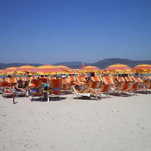 Actinia , Alghero Italie